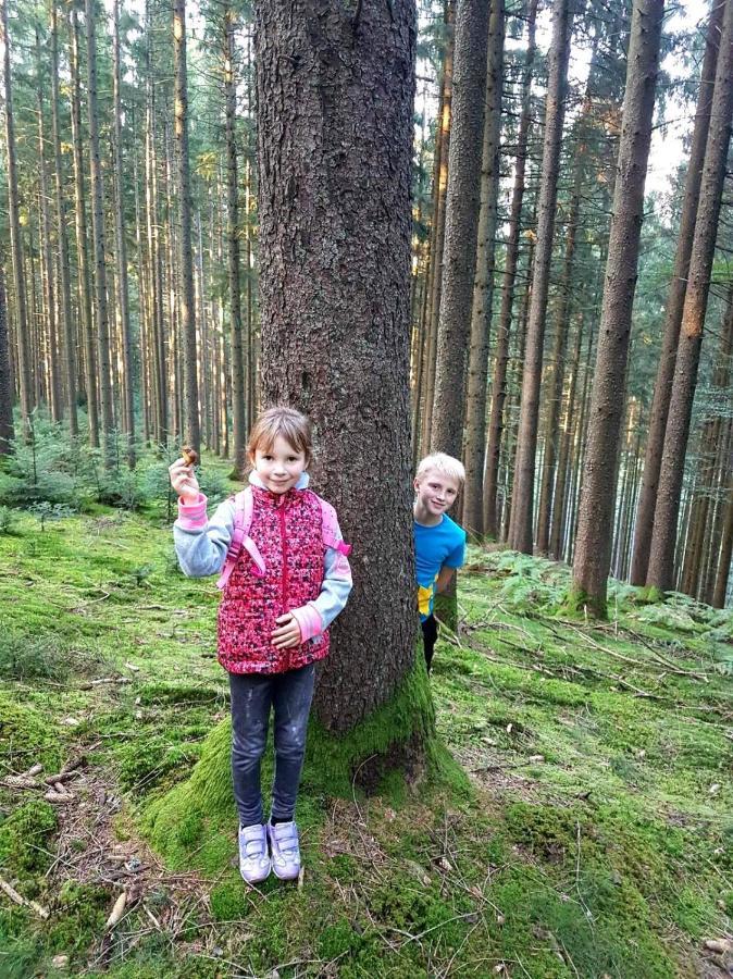Gemuetliches Haus Im Herzen Des Schwarzwaldes Fuer Bis Zu 9 Personen Elzach Zewnętrze zdjęcie
